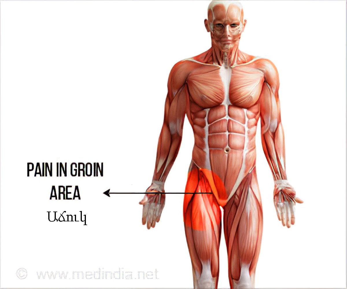 Groin pain – Diversified Integrated Sports Clinic